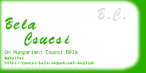 bela csucsi business card